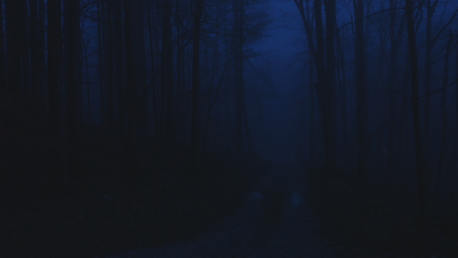 Shot in the Woods — still 1